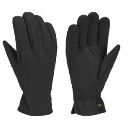 Gordini Fayston Glove (Men's)